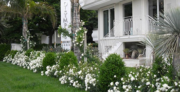 Residence Alba Adriatica